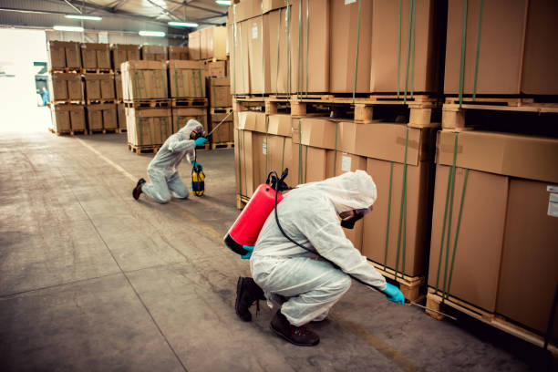 Best Mosquito Control Services  in Postville, IA