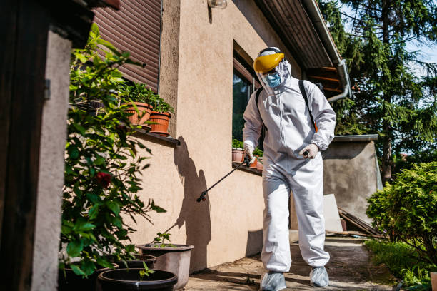 Best Bed Bug Extermination  in Postville, IA