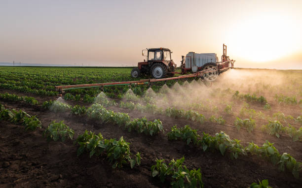 Best Local Pest Control Services  in Postville, IA