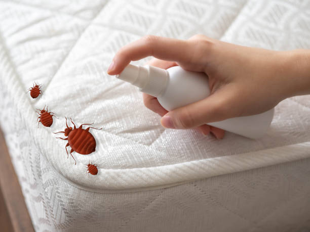 Best Best Pest Control Companies  in Postville, IA