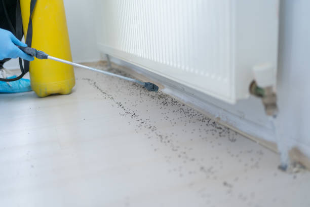 Best Pest Inspection Near Me  in Postville, IA