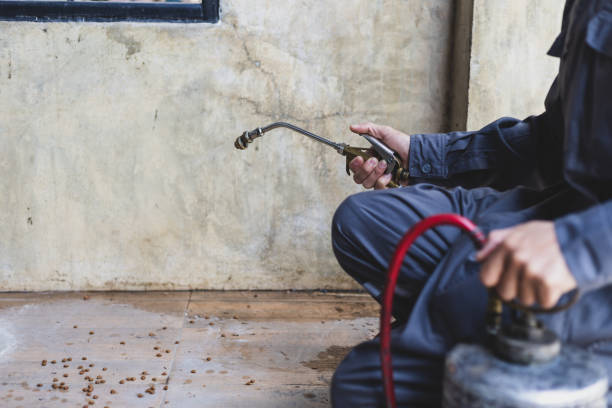 Best Pest Control Near Me  in Postville, IA