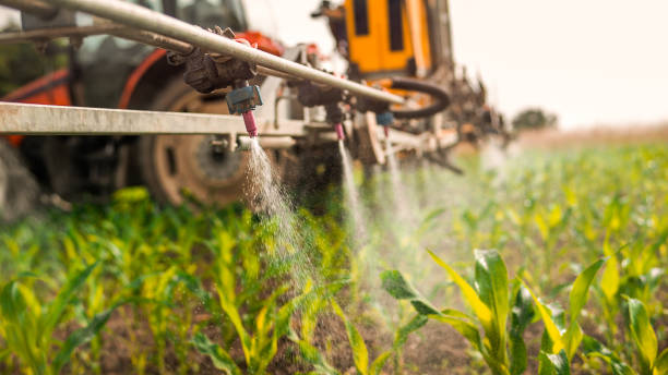 Best Affordable Pest Control Services  in Postville, IA